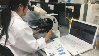 Thumbnail of post image 149