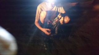 Thumbnail of post image 134