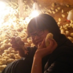 Thumbnail of post image 054