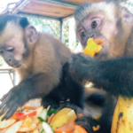 Thumbnail of post image 029