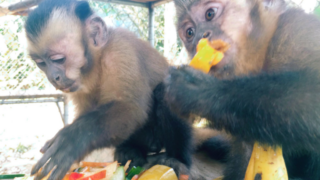 Thumbnail of post image 165